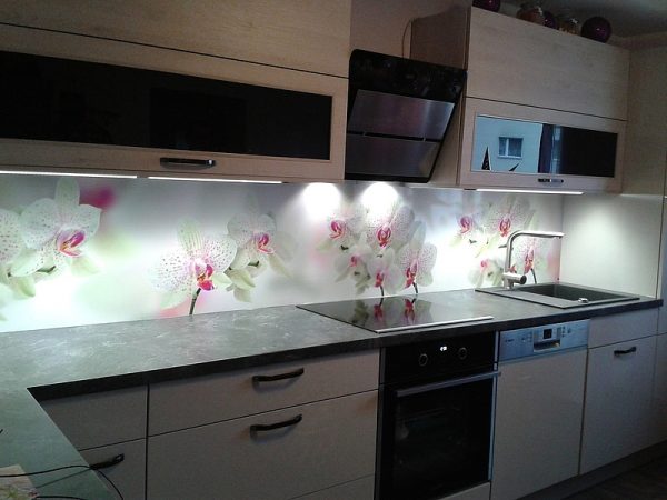 Mutfak Arası 3D Cam